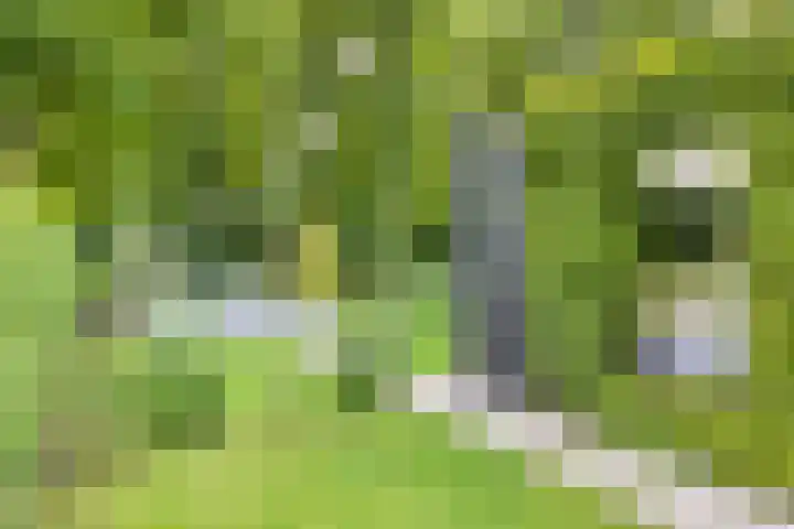Sweder van Kervenheimlaan 2 Lochem thumbnail 70