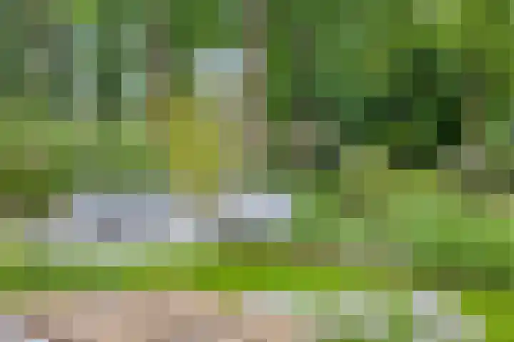 Sweder van Kervenheimlaan 2 Lochem thumbnail 71