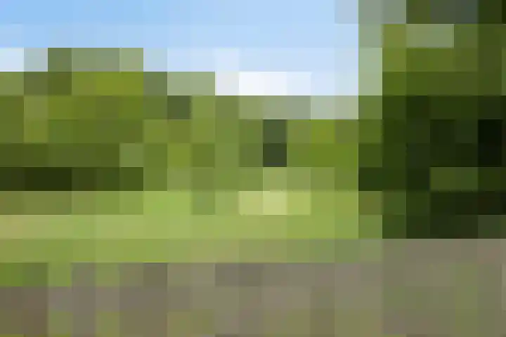 Sweder van Kervenheimlaan 2 Lochem thumbnail 72