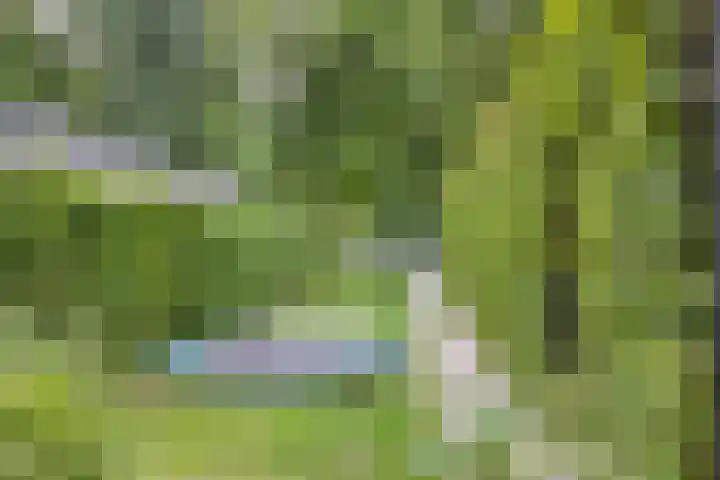 Sweder van Kervenheimlaan 2 Lochem thumbnail 73