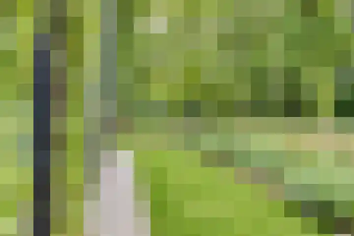 Sweder van Kervenheimlaan 2 Lochem thumbnail 74