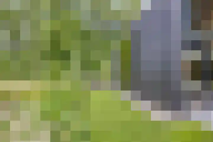 Sweder van Kervenheimlaan 2 Lochem thumbnail 75