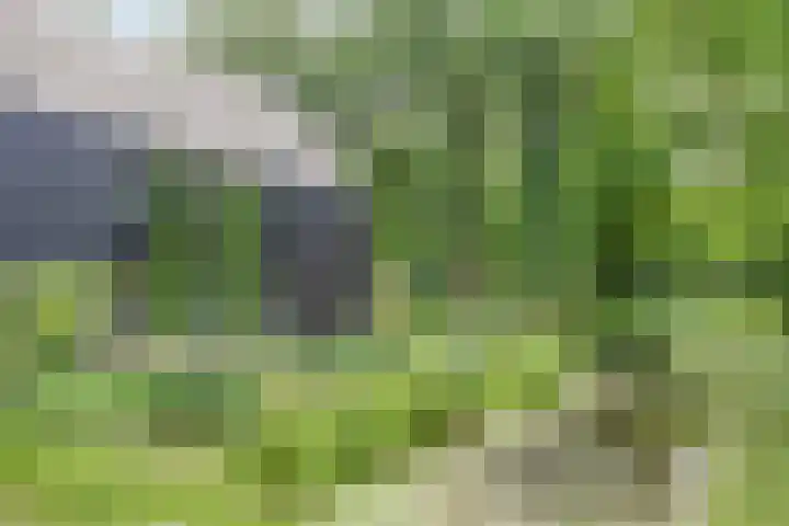 Sweder van Kervenheimlaan 2 Lochem thumbnail 76