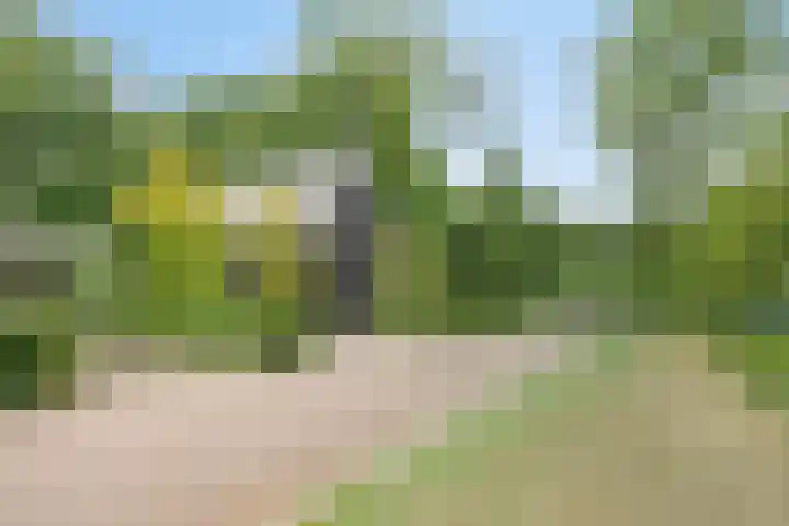 Sweder van Kervenheimlaan 2 Lochem thumbnail 79