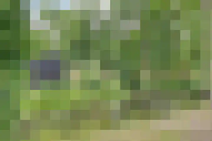 Sweder van Kervenheimlaan 2 Lochem thumbnail 80