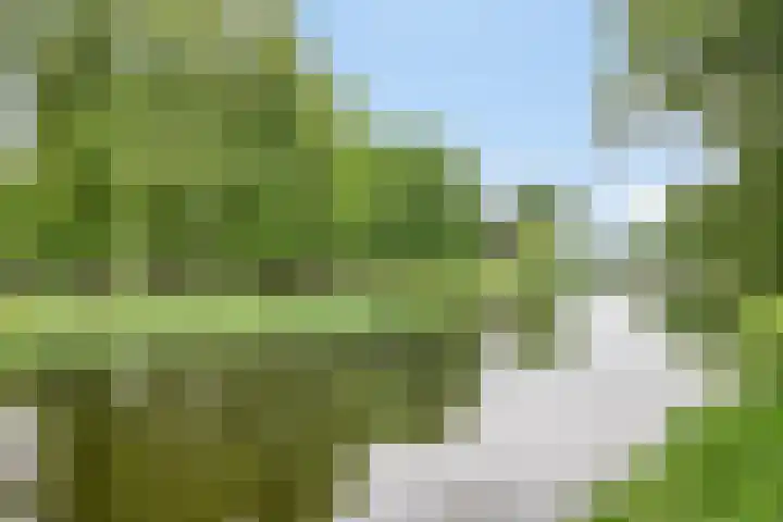 Sweder van Kervenheimlaan 2 Lochem thumbnail 81