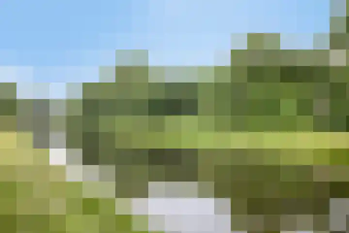 Sweder van Kervenheimlaan 2 Lochem thumbnail 82