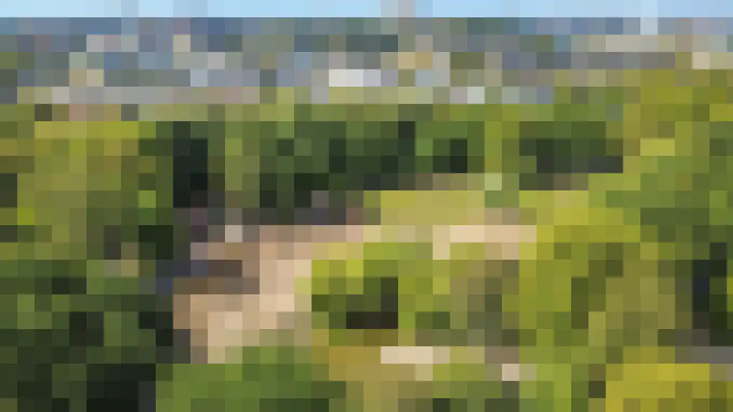 Sweder van Zuylenweg 1 B Utrecht thumbnail 32