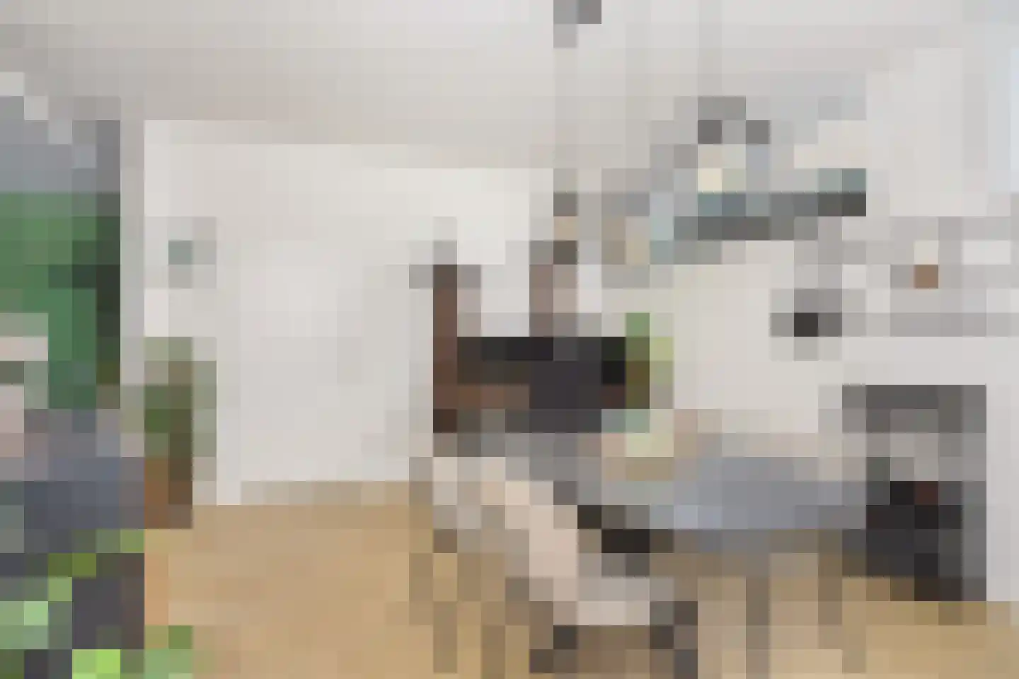 Sweder van Zuylenweg 1 B Utrecht thumbnail 7