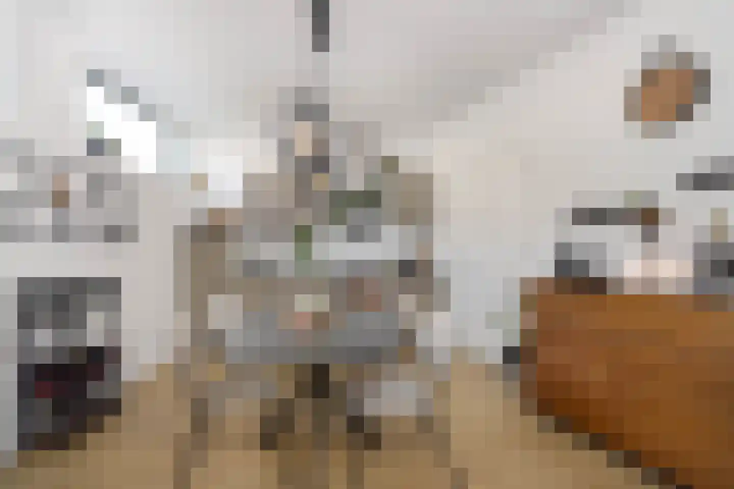 Sweder van Zuylenweg 1 B Utrecht thumbnail 9