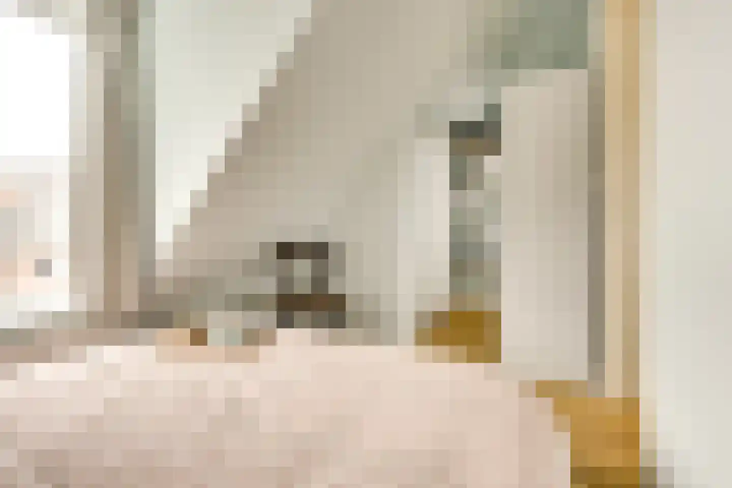Sweder van Zuylenweg 101 B Utrecht thumbnail 22