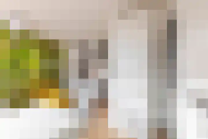 Sweder van Zuylenweg 101 Utrecht thumbnail 14