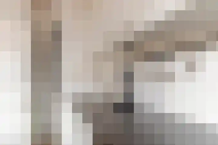 Sweder van Zuylenweg 101 Utrecht thumbnail 15