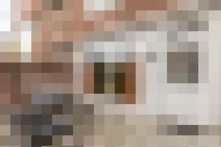 Sweder van Zuylenweg 101 Utrecht thumbnail 22