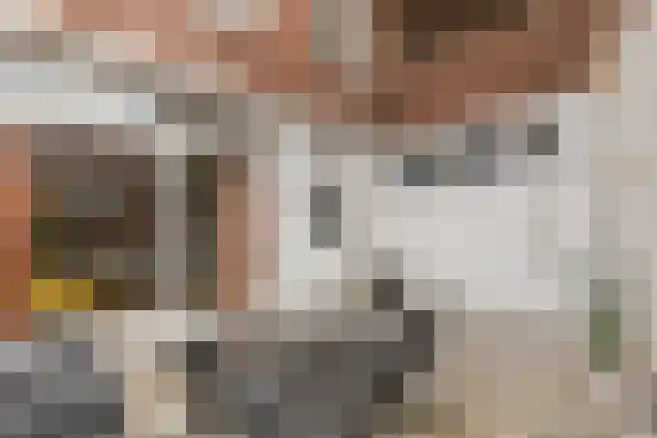 Sweder van Zuylenweg 101 Utrecht thumbnail 23