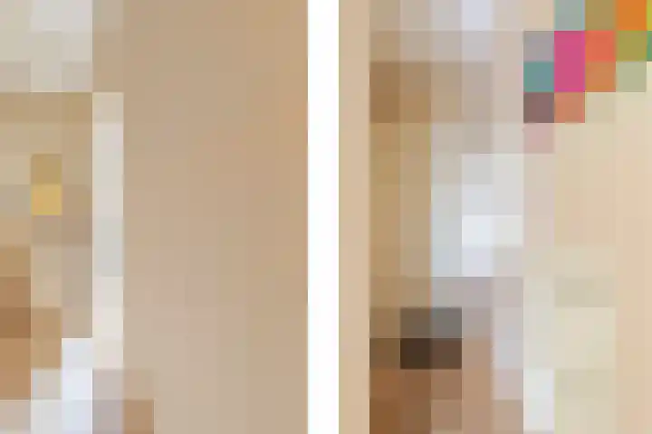 Sweder van Zuylenweg 101 Utrecht thumbnail 5