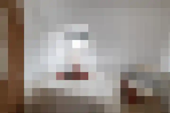 Sweder van Zuylenweg 3 C Utrecht thumbnail 10