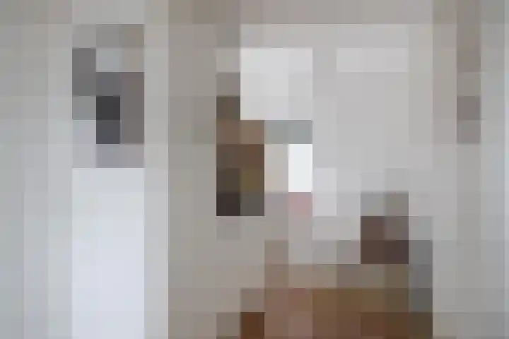 Sweder van Zuylenweg 3 C Utrecht thumbnail 5