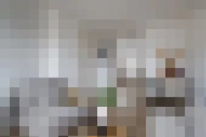 Sweder van Zuylenweg 3 C Utrecht thumbnail 7