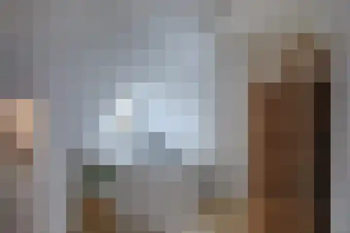 Sweder van Zuylenweg 3 D Utrecht thumbnail 11