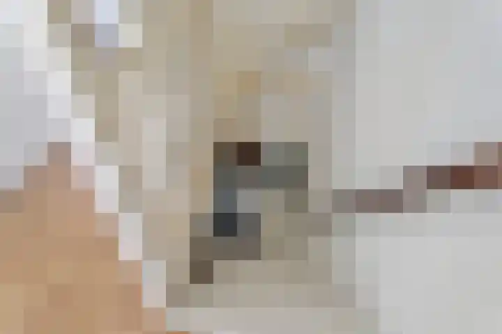 Sweder van Zuylenweg 37 Utrecht thumbnail 20