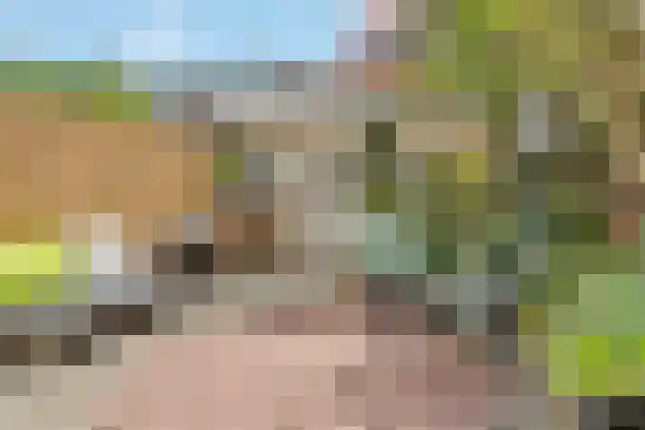 Sweder van Zuylenweg 37 Utrecht thumbnail 4