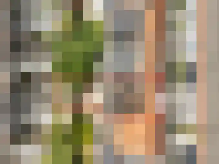 Sweder van Zuylenweg 37 Utrecht thumbnail 53