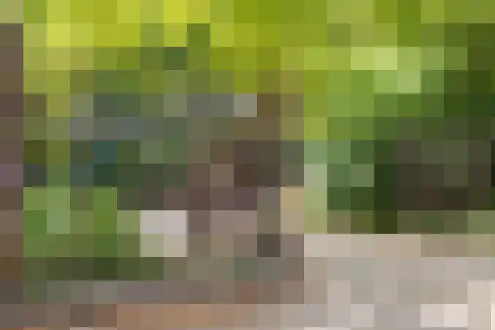 Sweder van Zuylenweg 37 Utrecht thumbnail 55