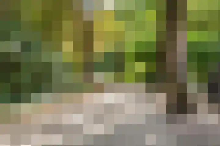 Sweder van Zuylenweg 37 Utrecht thumbnail 58