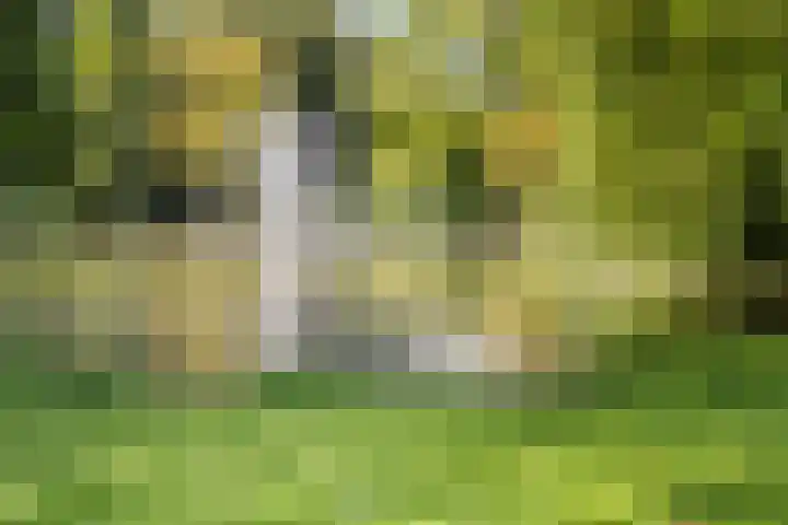 Sweder van Zuylenweg 37 Utrecht thumbnail 59