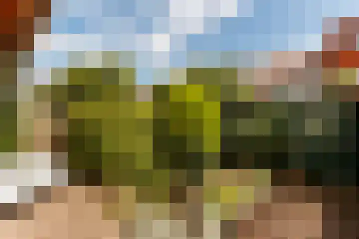 Sweder van Zuylenweg 39 Utrecht thumbnail 6