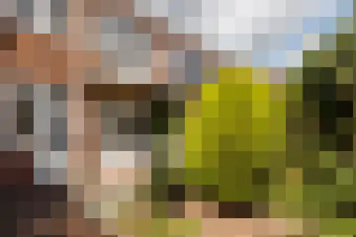 Sweder van Zuylenweg 39 Utrecht thumbnail 7