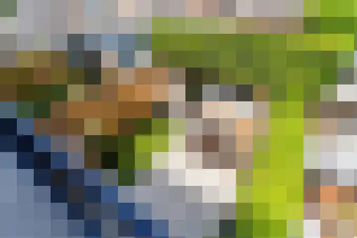 Sweder van Zuylenweg 50 Utrecht thumbnail 27