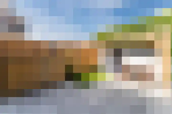 Sweder van Zuylenweg 50 Utrecht thumbnail 4