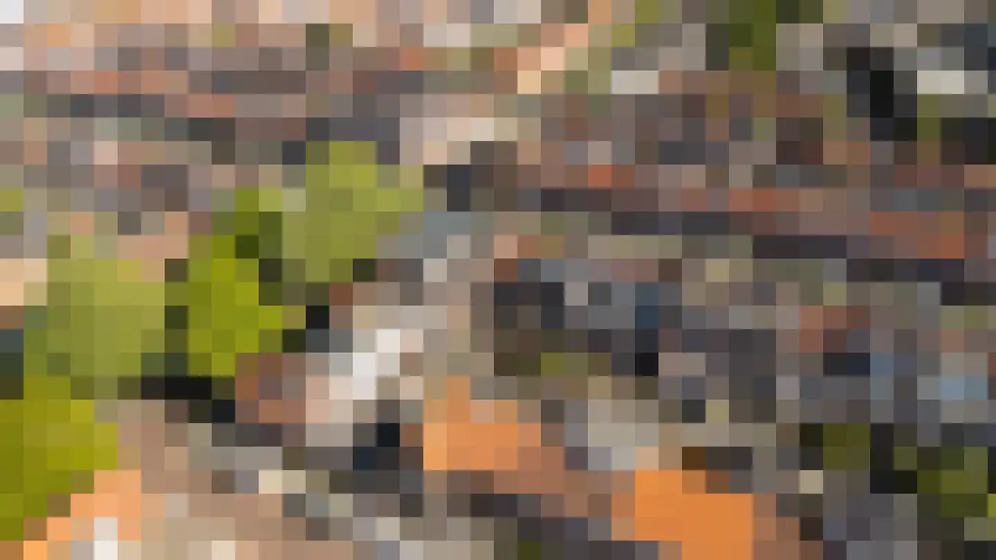 Sweder van Zuylenweg 56 A Utrecht thumbnail 37