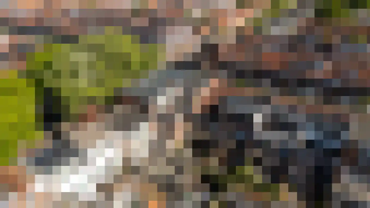Sweder van Zuylenweg 56 A Utrecht thumbnail 38
