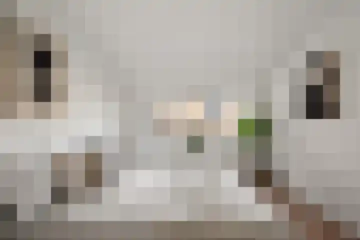 Sweder van Zuylenweg 58 Utrecht thumbnail 26