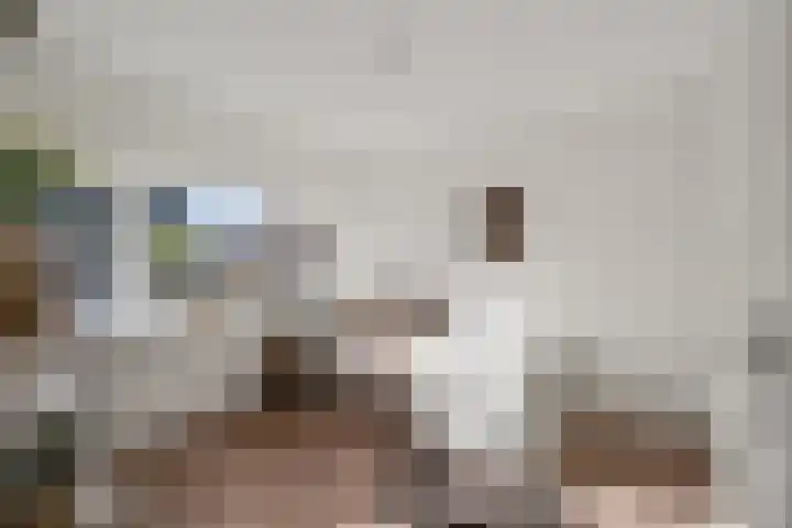 Sweder van Zuylenweg 58 Utrecht thumbnail 32