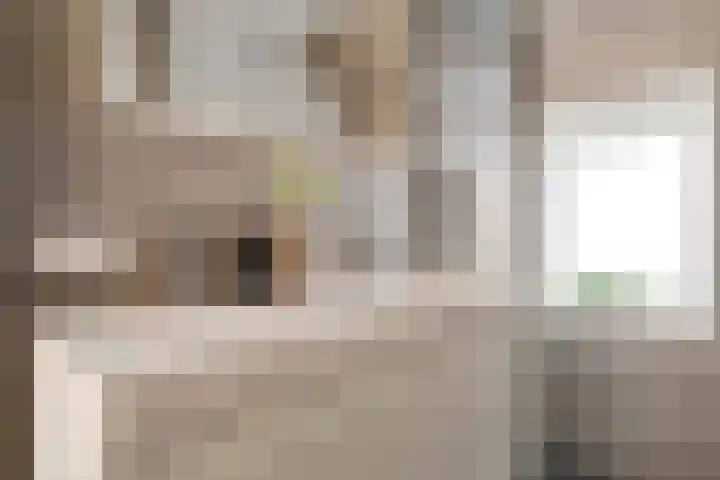 Sweder van Zuylenweg 58 Utrecht thumbnail 37