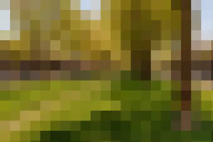 Sweder van Zuylenweg 58 Utrecht thumbnail 46