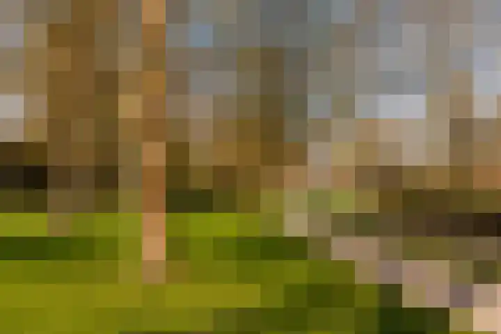 Sweder van Zuylenweg 58 Utrecht thumbnail 47