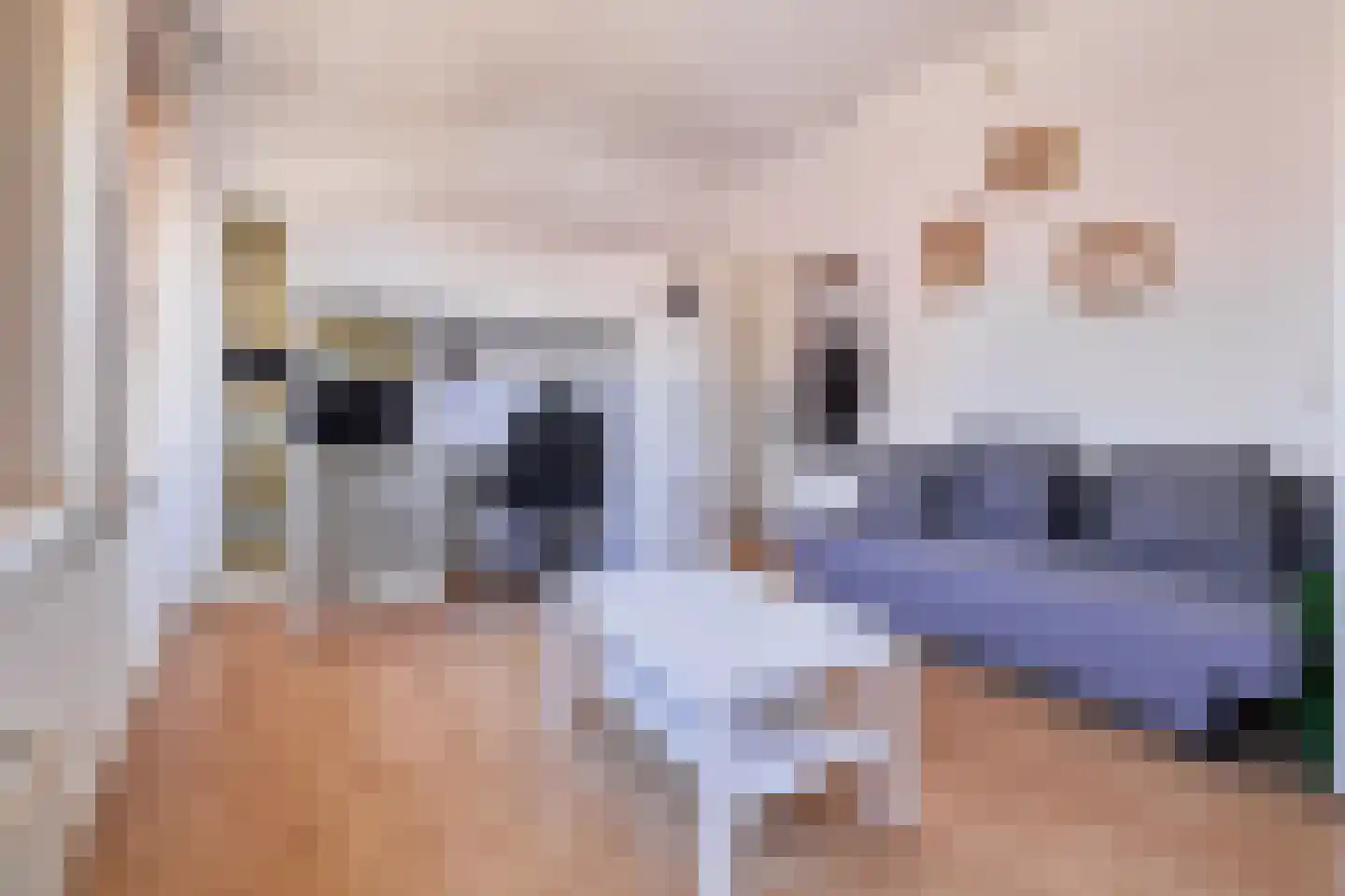 Sweder van Zuylenweg 6 Utrecht thumbnail 10