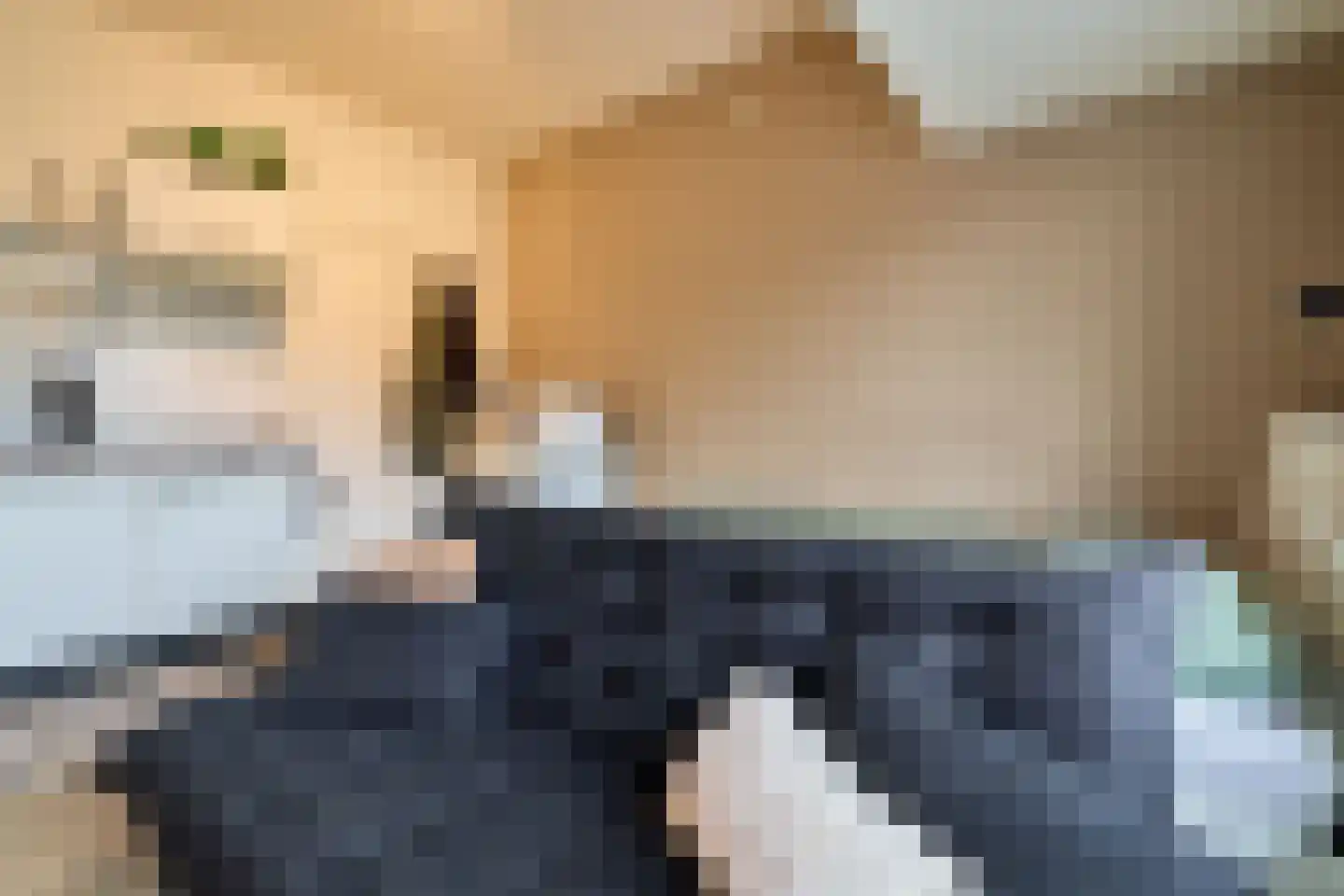 Sweder van Zuylenweg 6 Utrecht thumbnail 17