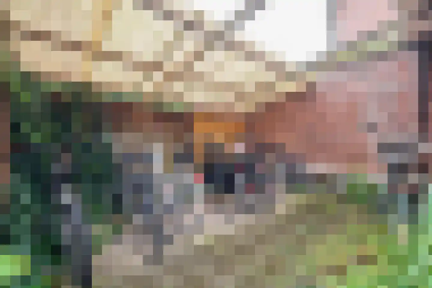 Sweder van Zuylenweg 6 Utrecht thumbnail 22