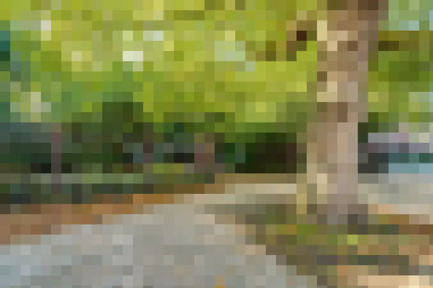 Sweder van Zuylenweg 6 Utrecht thumbnail 28
