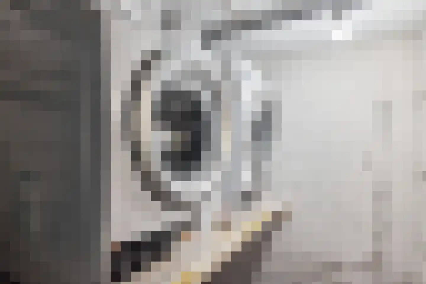 Sweder van Zuylenweg 6 Utrecht thumbnail 32