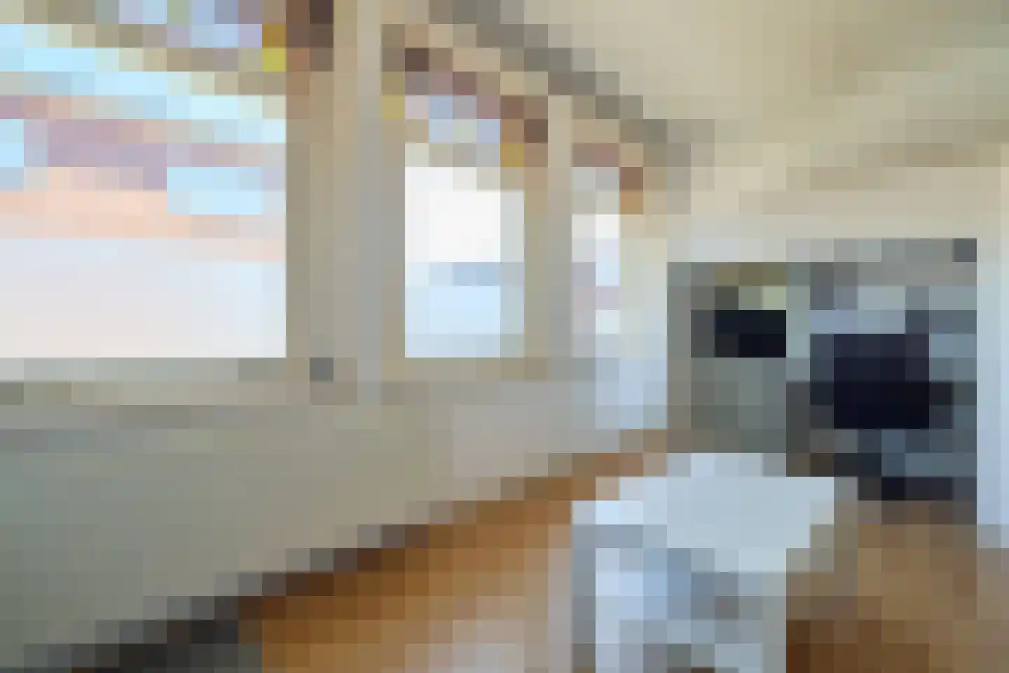 Sweder van Zuylenweg 6 Utrecht thumbnail 9