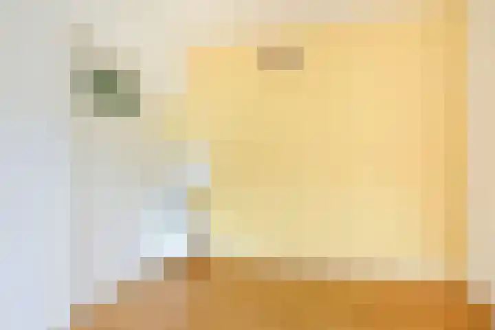 Sweder van Zuylenweg 64 Utrecht thumbnail 13