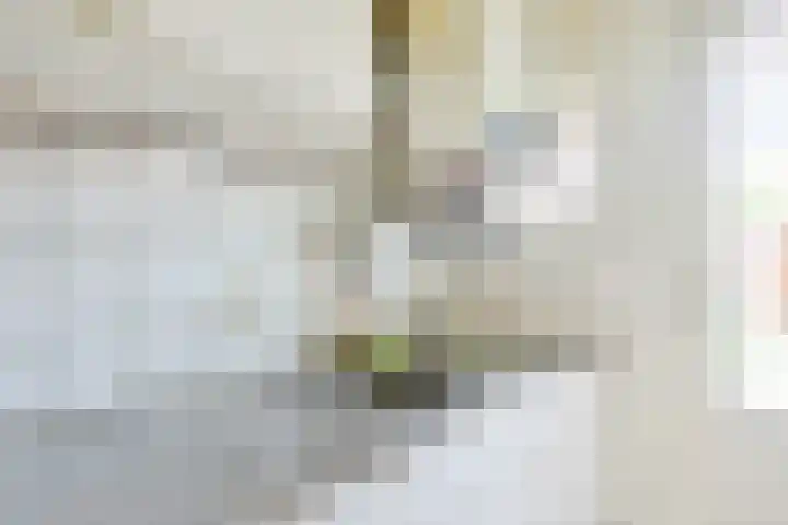 Sweder van Zuylenweg 64 Utrecht thumbnail 18