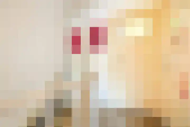 Sweder van Zuylenweg 64 Utrecht thumbnail 28